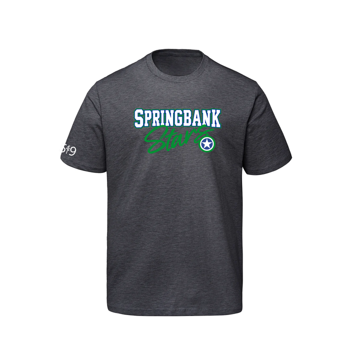 SPRINGBANK SIGNATURE TEE (MENS)