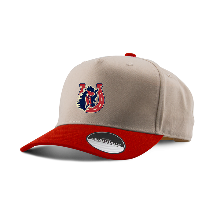 STONEY CREEK EMBROIDERED TWO-TONE PANEL CAP