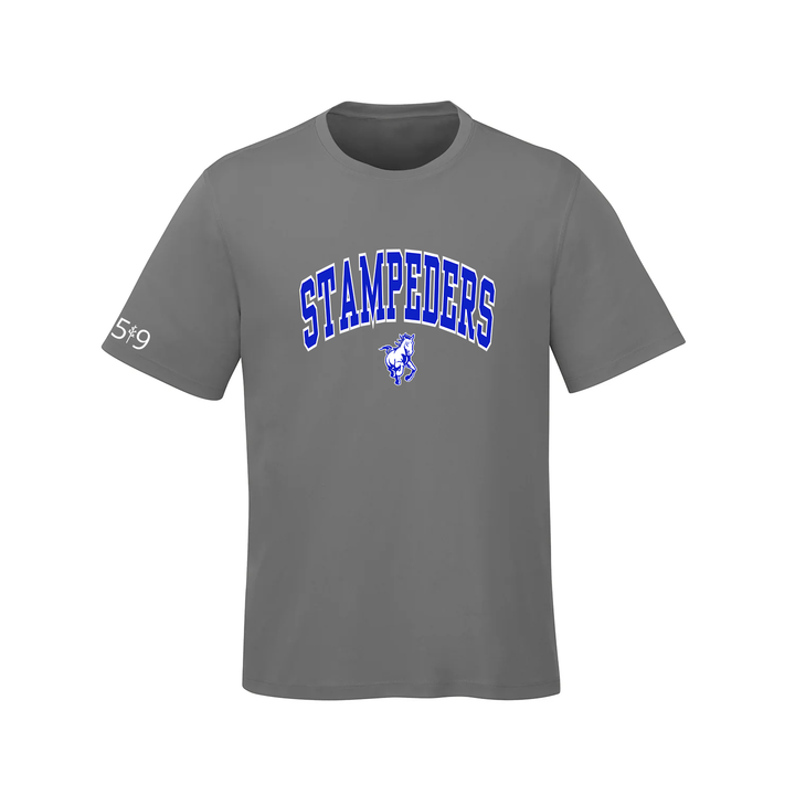 SOUTH DORCHESTER VARSITY ATHLETIC TEE (YOUTH)