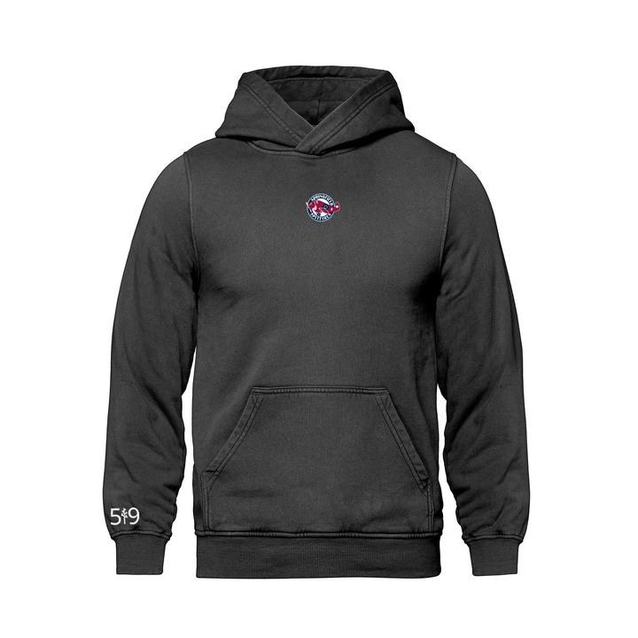SPRINGFIELD EMBROIDERED RETRO HOODIE (UNISEX)