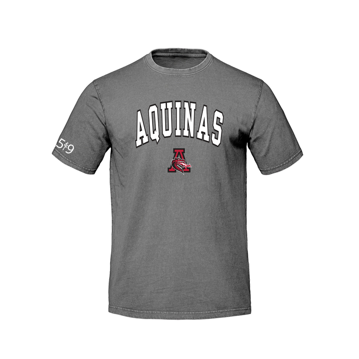 FLAMES VARSITY RETRO TEE (UNISEX)