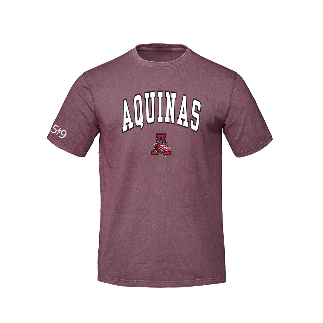 FLAMES VARSITY RETRO TEE (UNISEX)