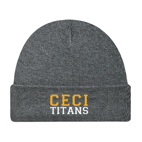 CECI EMBROIDERED TOQUE