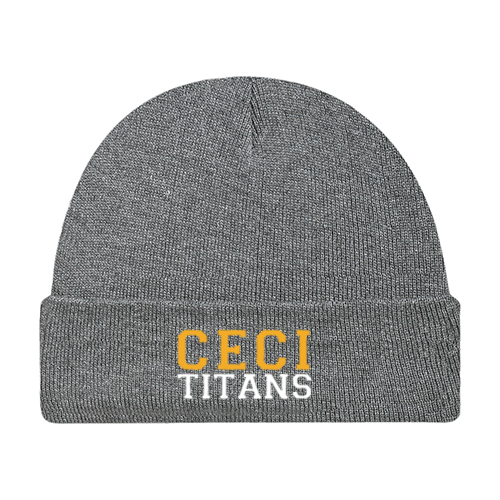 CECI EMBROIDERED TOQUE