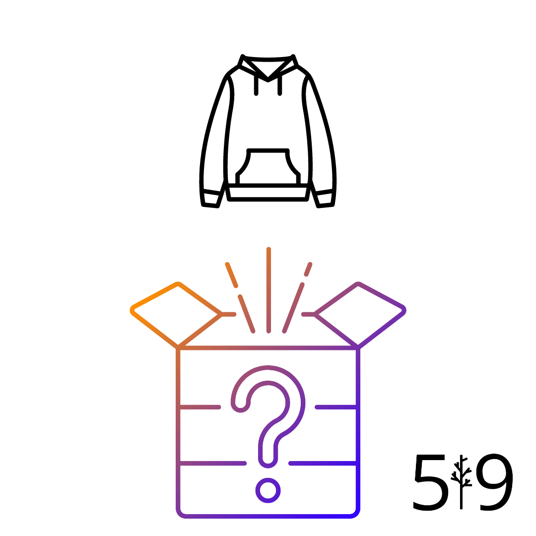 519 MYSTERY HOODIE