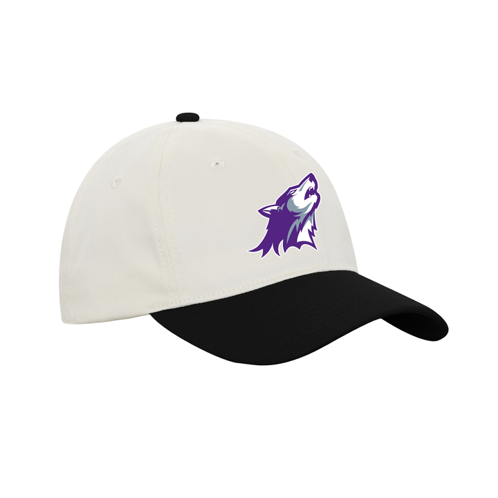 WILFRID JURY EMBROIDERED RETRO DAP CAP