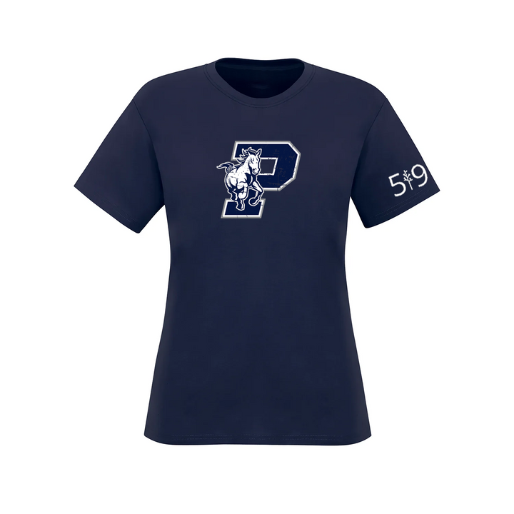 PARKSIDE DISTRESSED TEE (WOMENS)