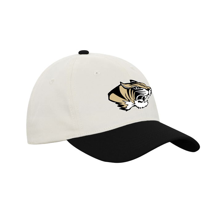 WESTMINSTER EMBROIDERED RETRO DAD CAP
