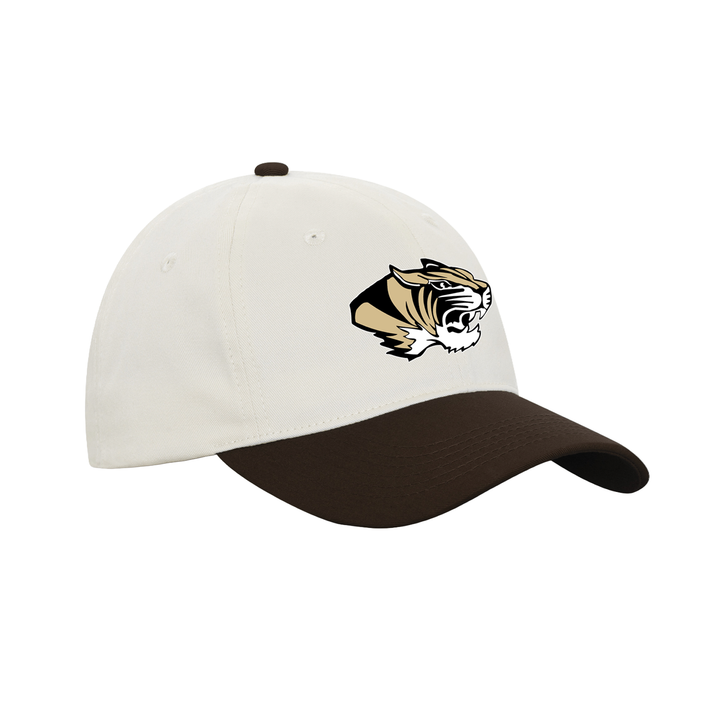 WESTMINSTER EMBROIDERED RETRO DAD CAP