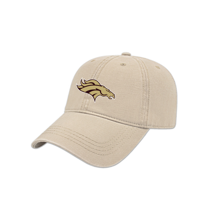 BANTING EMBROIDERED DAD CAP