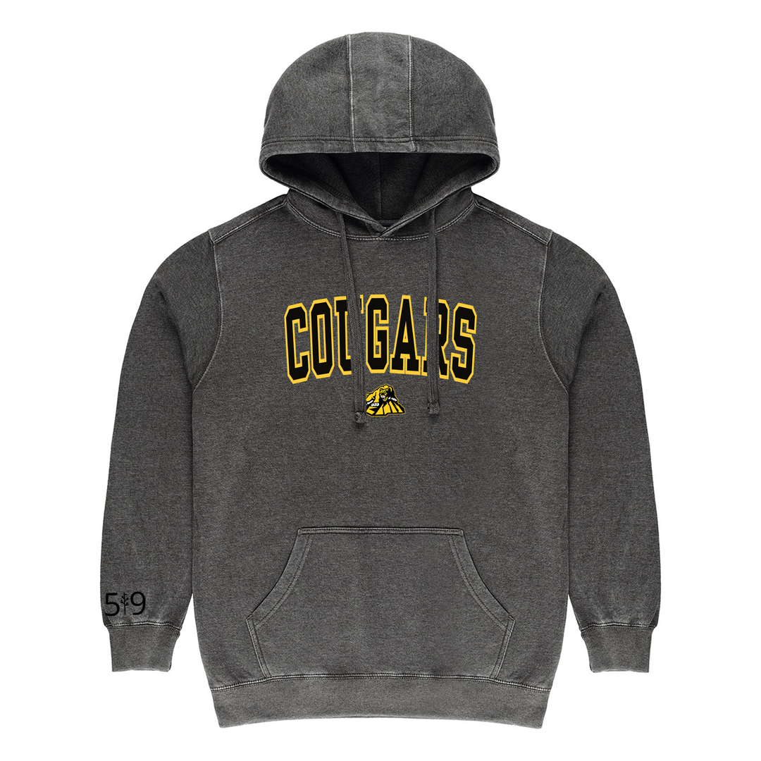 COUGARS VARSITY VINTAGE HOODIE (UNISEX)