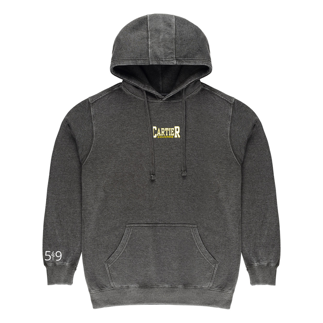 COUGARS EMBROIDERED VINTAGE HOODIE (UNISEX)