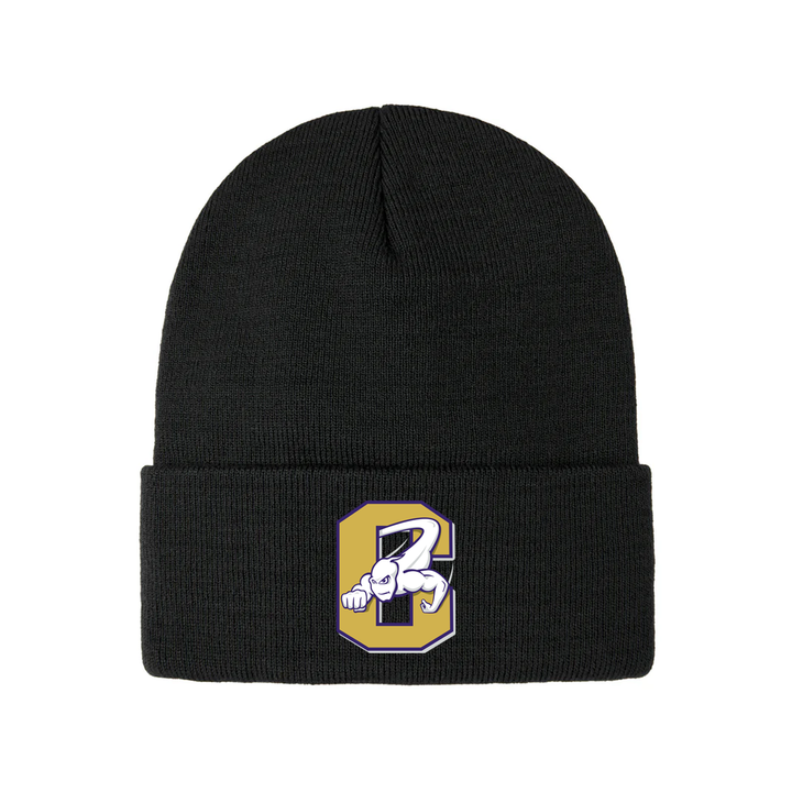 CENTRAL EMBROIDERED TOQUE