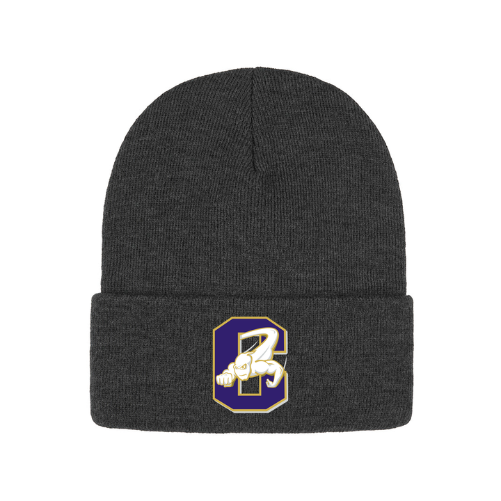 CENTRAL EMBROIDERED TOQUE