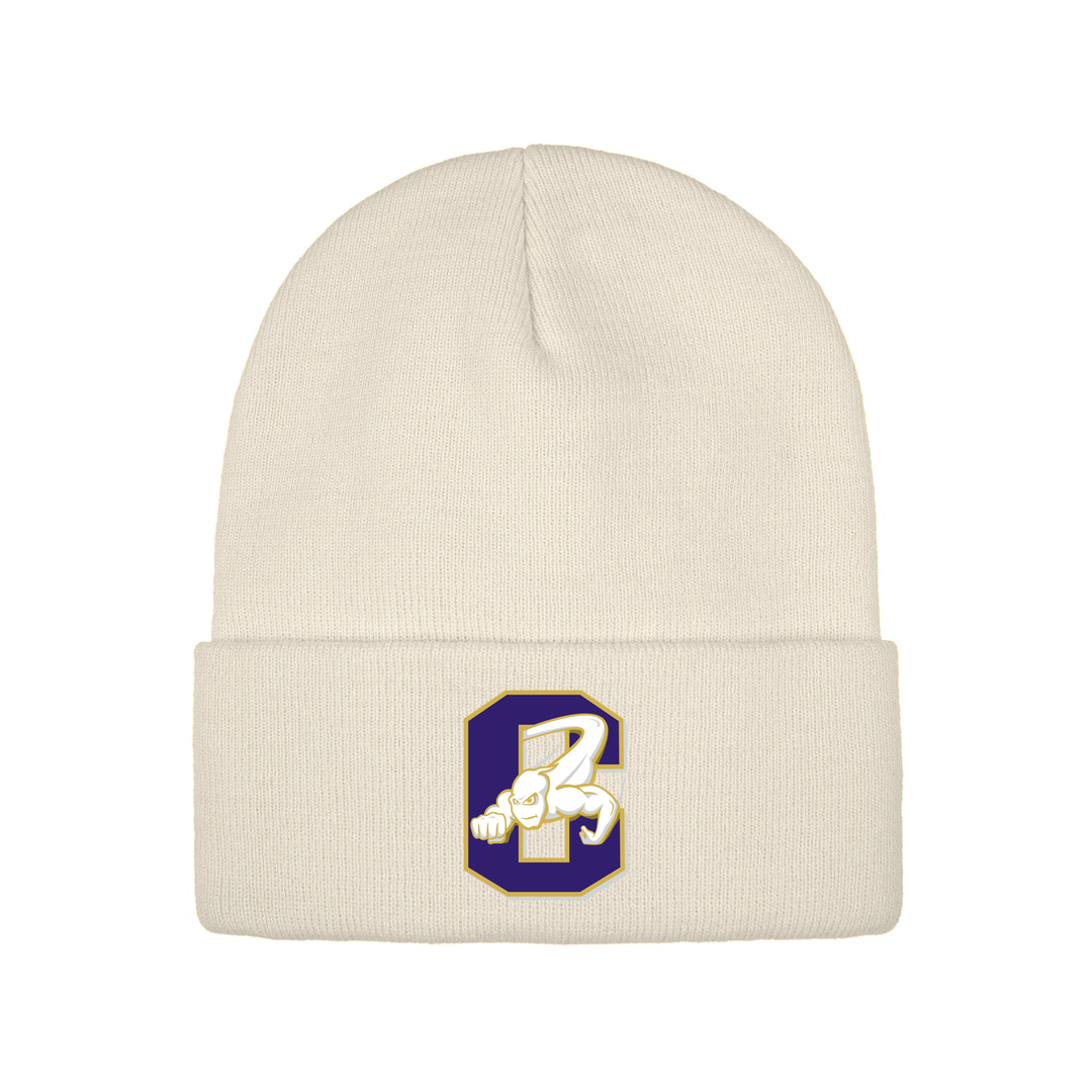 CENTRAL EMBROIDERED TOQUE
