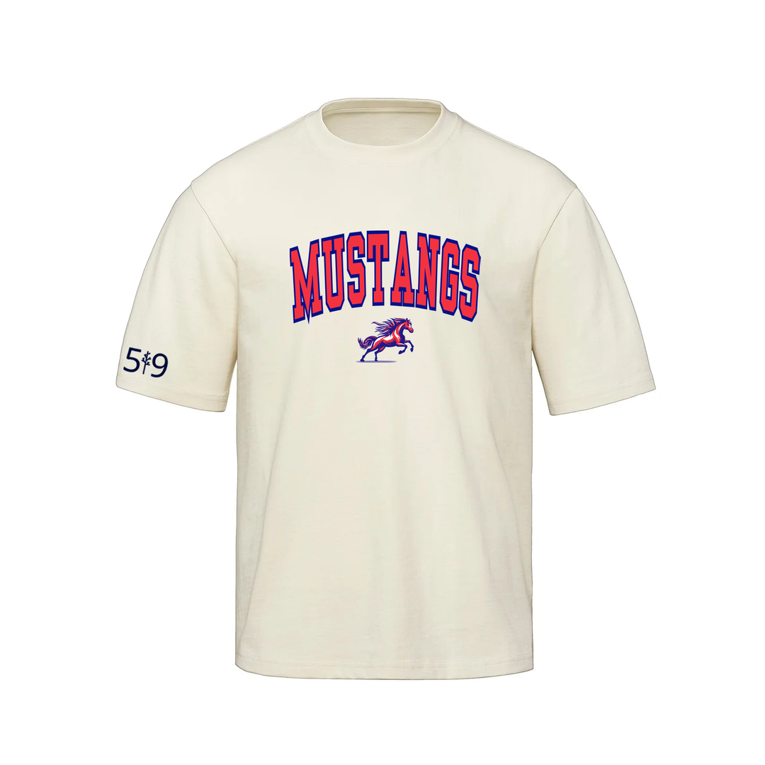 DELAWARE MUSTANGS VARSITY OVERSIZED TEE (UNISEX)