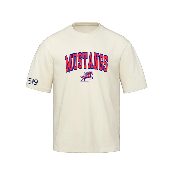 DELAWARE MUSTANGS VARSITY OVERSIZED TEE (UNISEX)