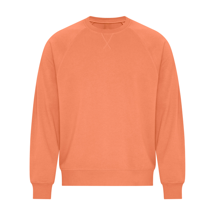 STUDIO FRENCH TERRY CREWS (UNISEX)