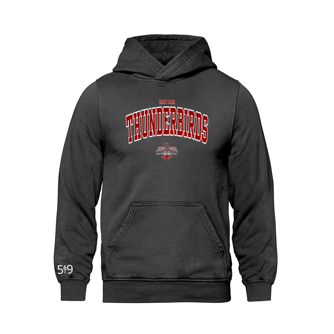 THUNDERBIRDS VARSITY RETRO HOODIE (UNISEX)