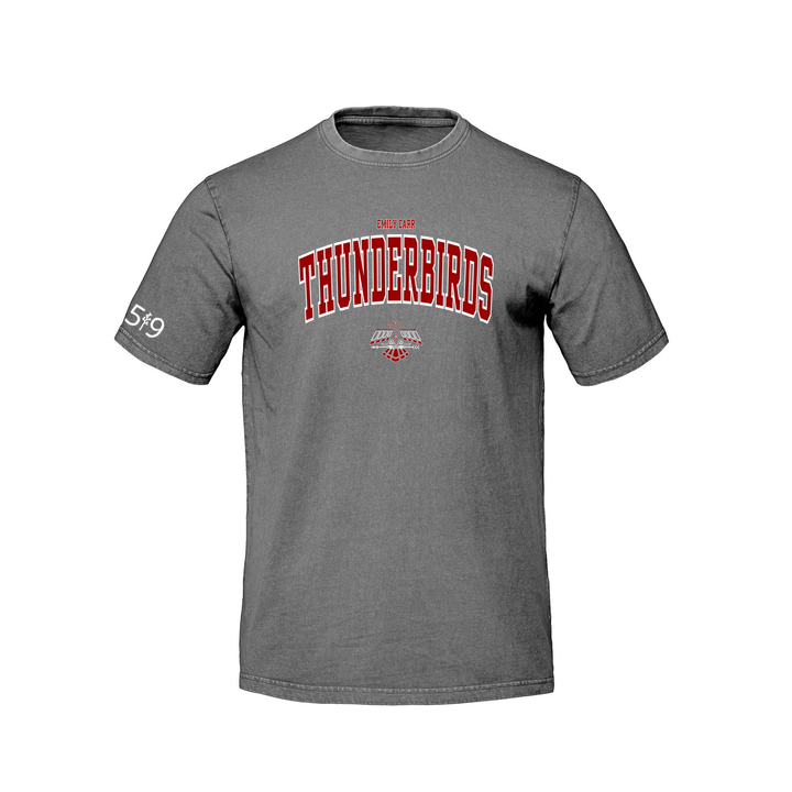 THUNDERBIRDS VARSITY RETRO TEE (UNISEX)