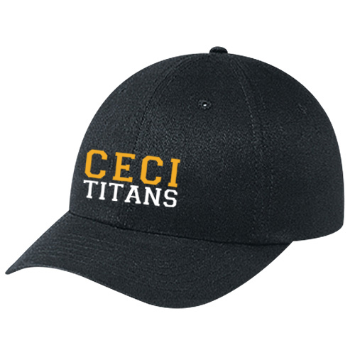 CENTRAL ELGIN EMBROIDERED DAD CAP (UNISEX)