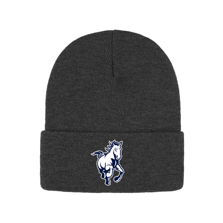 PARKSIDE EMBROIDERED TOQUE