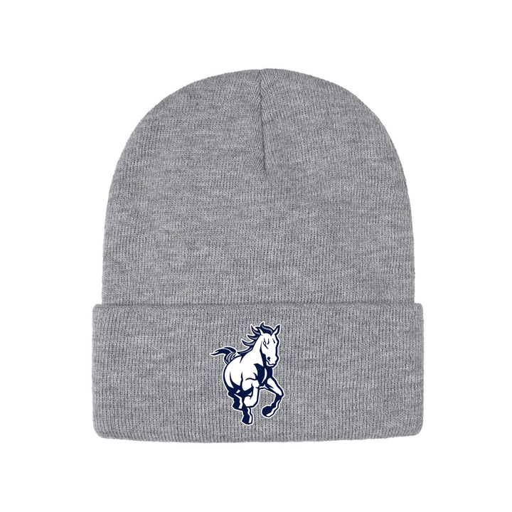 PARKSIDE EMBROIDERED TOQUE
