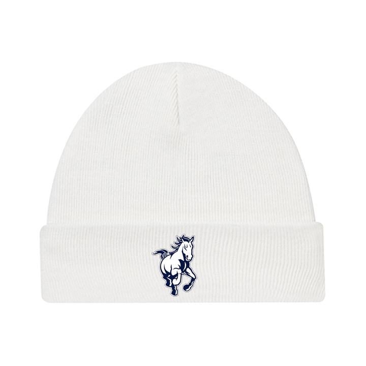 PARKSIDE EMBROIDERED TOQUE