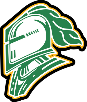 Partner logo 3