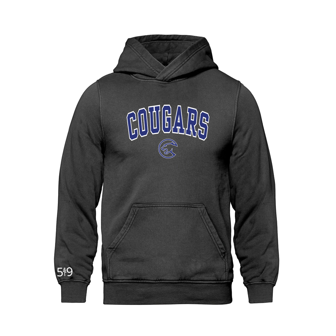 MONTCALM VARSITY RETRO HOODIE (UNISEX)