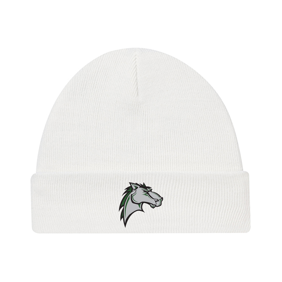 MITCHELL HEPBURN EMBROIDERED TOQUE