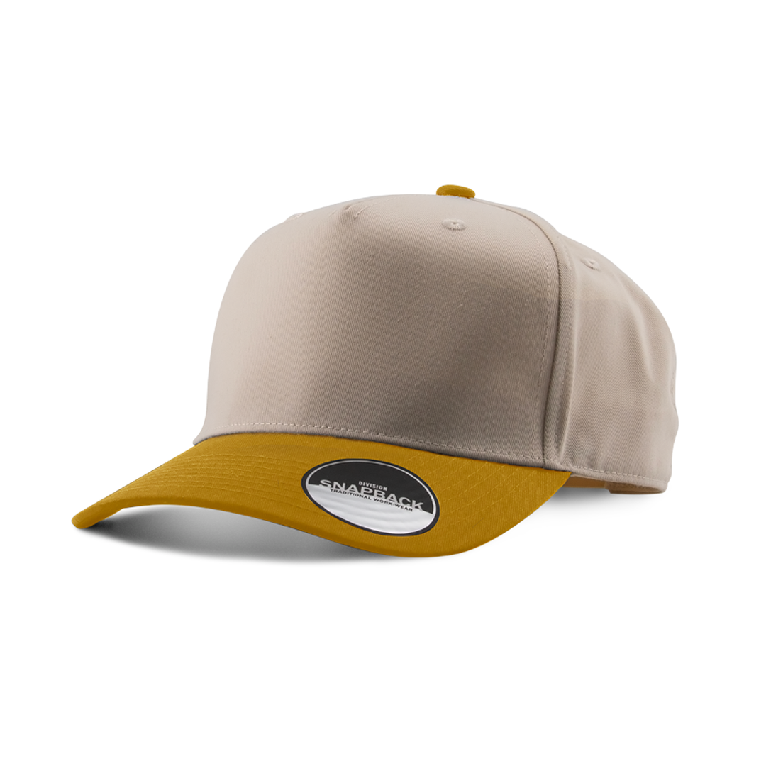 TWO-TONE PANEL CAPS
