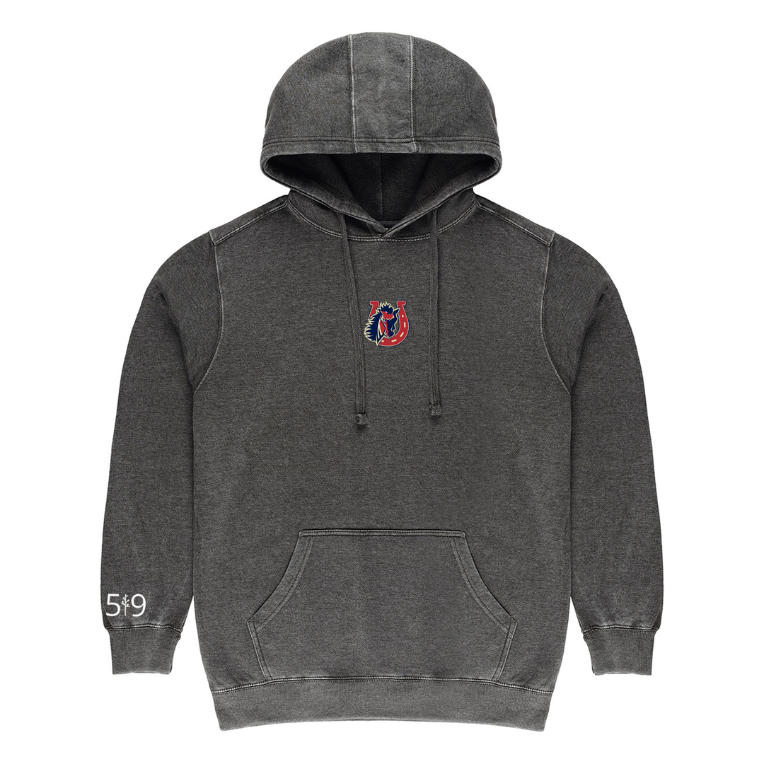 STALLIONS LIMITED EDITION EMBROIDERED VINTAGE HOODIE (UNISEX)
