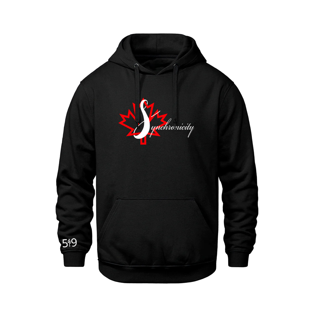 SYNCHRONICITY HOODIE (UNISEX)
