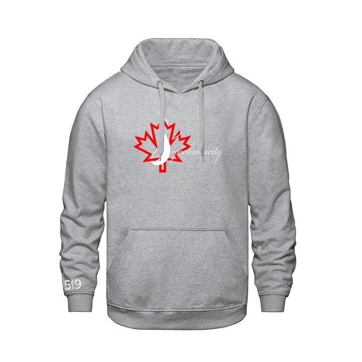 SYNCHRONICITY HOODIE (UNISEX)