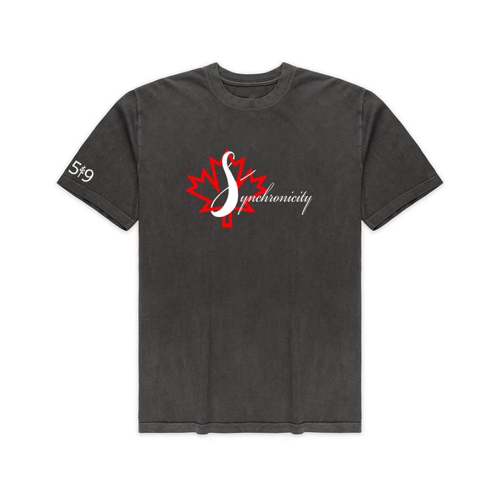 SYNCHRONICITY VINTAGE TEE (UNISEX)