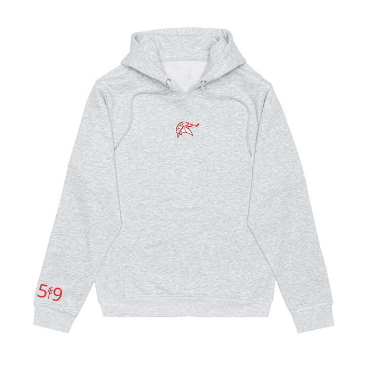 ARTHUR VOADEN EMBROIDERED HOODIE (UNISEX)